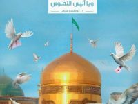 ولادة الامام الضامن
