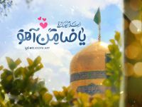 ولادة الامام الضامن