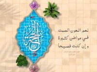 متنوعهات